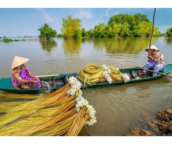 Mekong Tours - Mekong Eco Tours - High Tide in Mekong - Mekong Homestay - VI