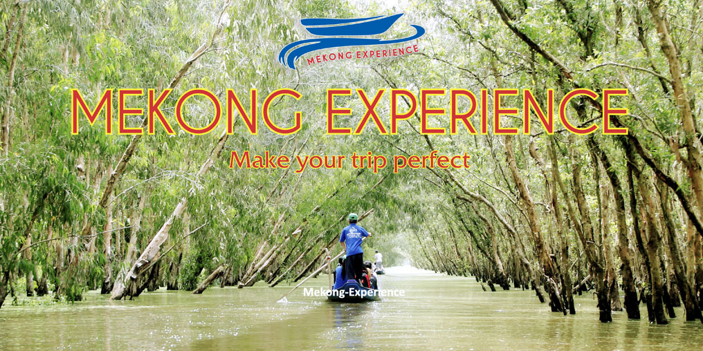 Mekong Floating Market Tours